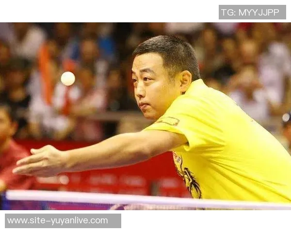 南京乒乓球队快攻革新之路：技术突破与战术演变的深度解析