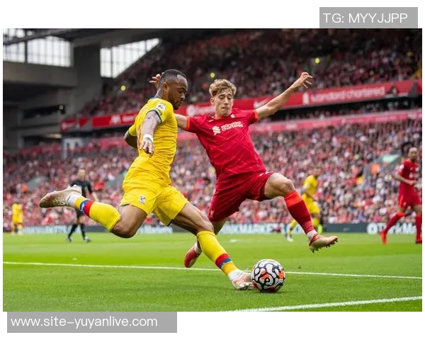 希洪运动与埃瓦尔的精彩对决分析及赛季表现回顾